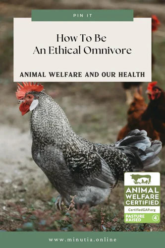 how to be an ethical omnivore